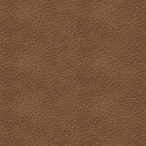 Bolsena Sofa Sleeper - Furniture Source (IA) 