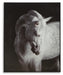 Archerwick Wall Art - Furniture Source (IA) 