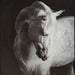 Archerwick Wall Art - Furniture Source (IA) 