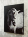 Archerwick Wall Art - Furniture Source (IA) 