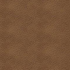 Bolsena Sofa Sleeper - Furniture Source (IA) 