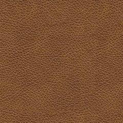 Carianna Oversized Chair - Furniture Source (IA) 