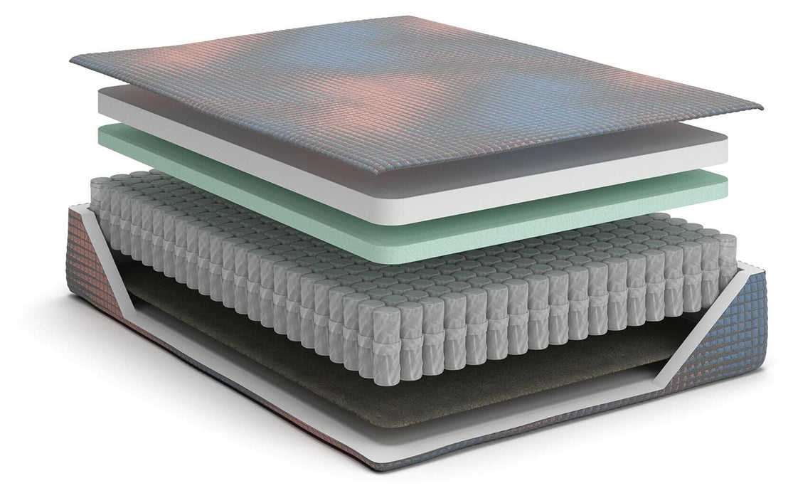 13 Inch Hybrid Hot Buy Mattress - Furniture Source (IA) 