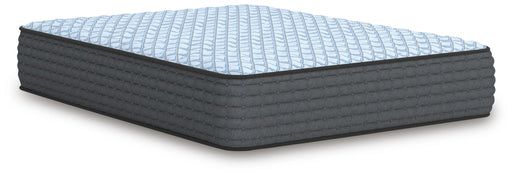Destin Cove Firm Mattress - Furniture Source (IA) 