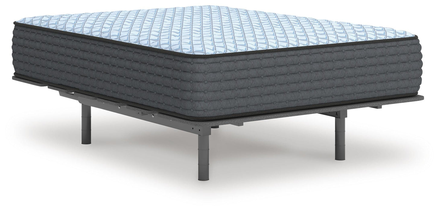 Destin Cove Firm Mattress - Furniture Source (IA) 