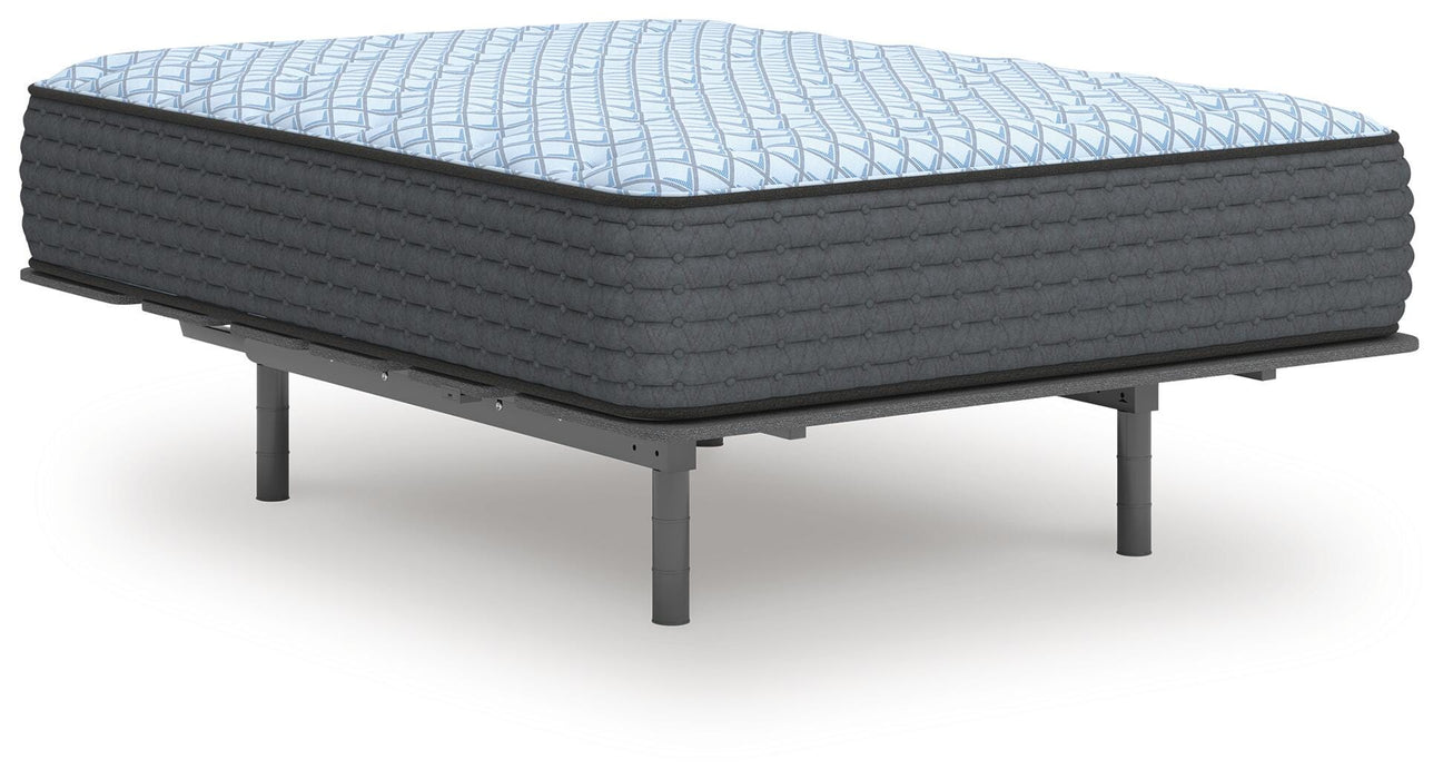 Destin Cove Plush Mattress - Furniture Source (IA) 