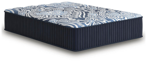 Firm Luxe 2.0 Mattress - Furniture Source (IA) 
