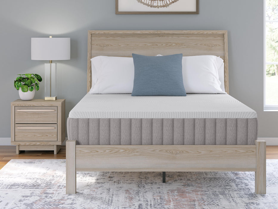 Terra Sleep Firm Mattress - Furniture Source (IA) 