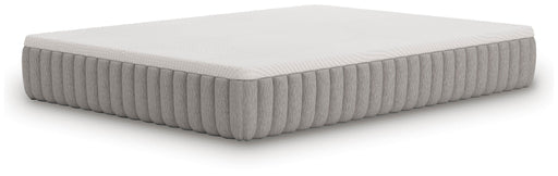 Terra Sleep Firm Mattress - Furniture Source (IA) 